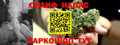 гидра Гусев